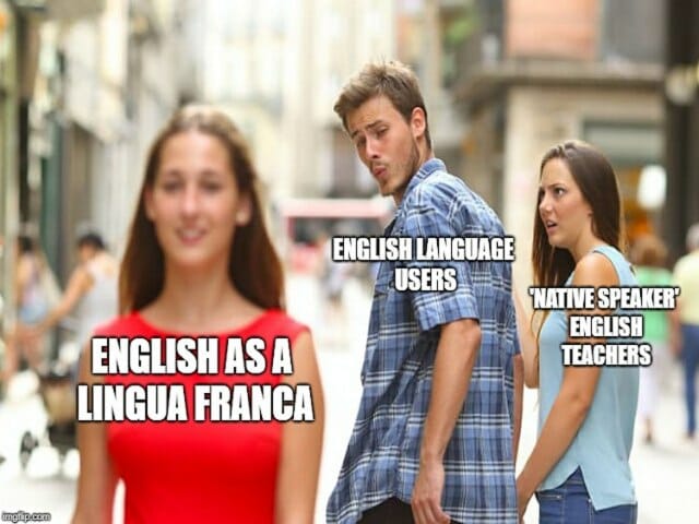 Englischunterricht mit Muttersprachlern, Vor- und Nachteile