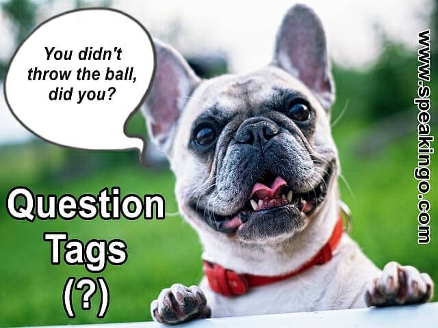 question tags