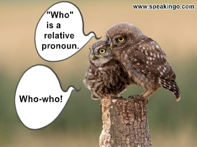 relative pronouns, zájmena vztažná, who