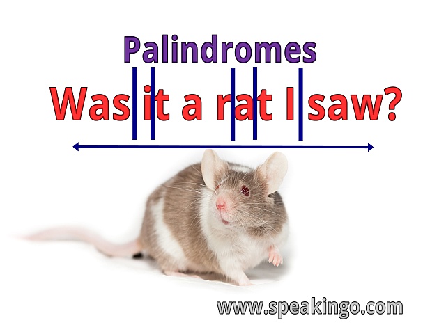 Palindromy, Lustrzane słówka, zdania, po angielsku, palindromes